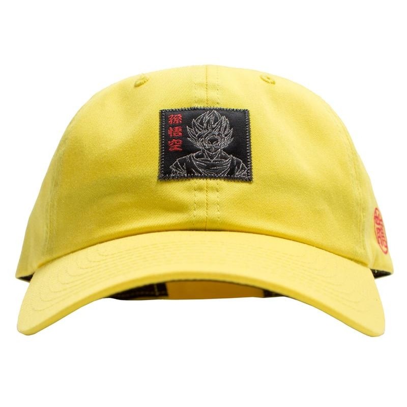 dbz dad hat