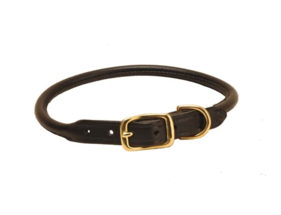 Black rolled leather dog sales collar