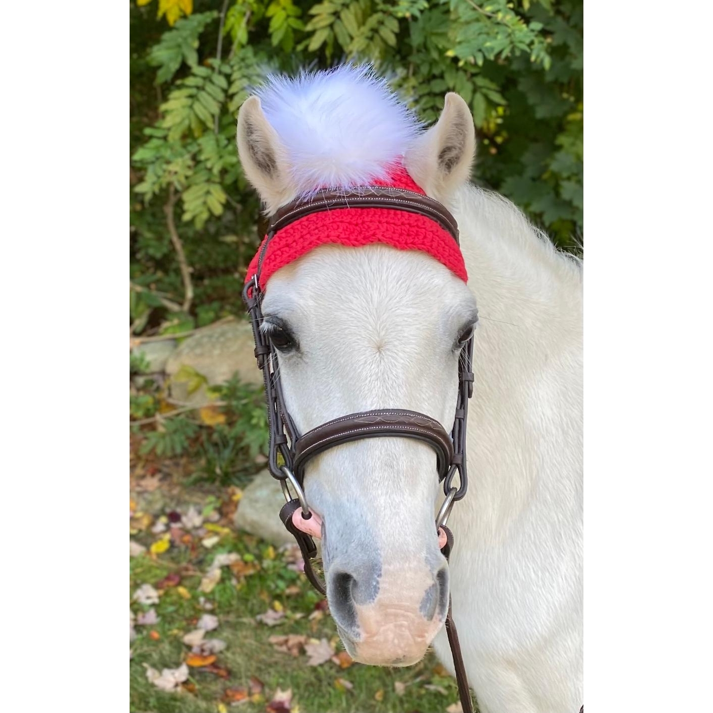 horse pom pom hat