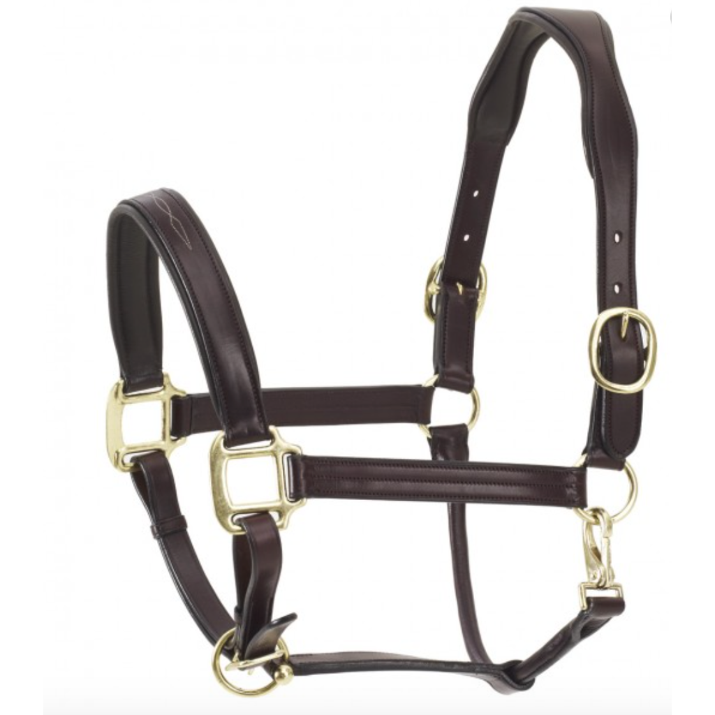 Ovation Classic ATS Flat Fancy Halter (Brown) Halters at Chagrin Saddlery  Main