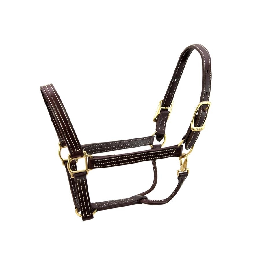 walsh-leather-british-halter-halters-at-chagrin-saddlery-main