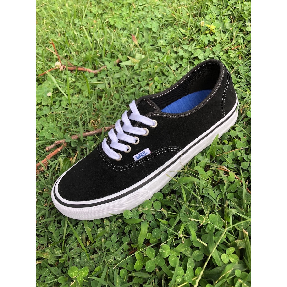 vans authentic chino pro