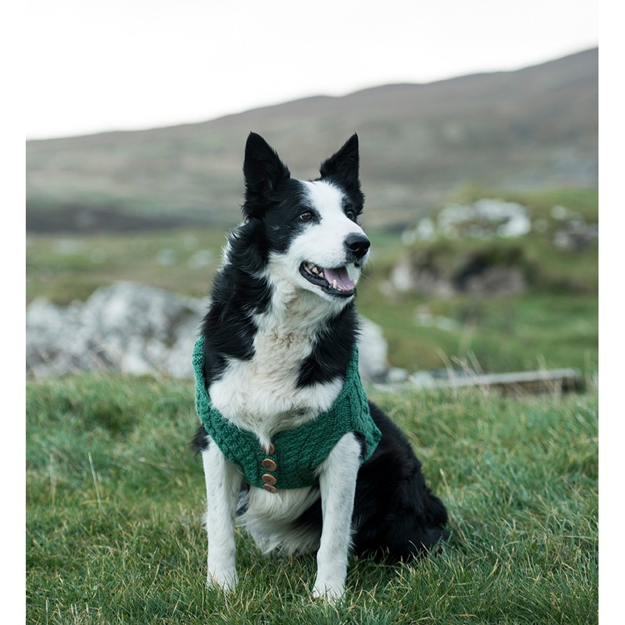 Irish clearance dog sweater